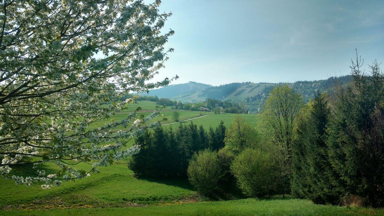 Noclegi Przy Szlaku Agroturystyka Zabnica Exterior photo