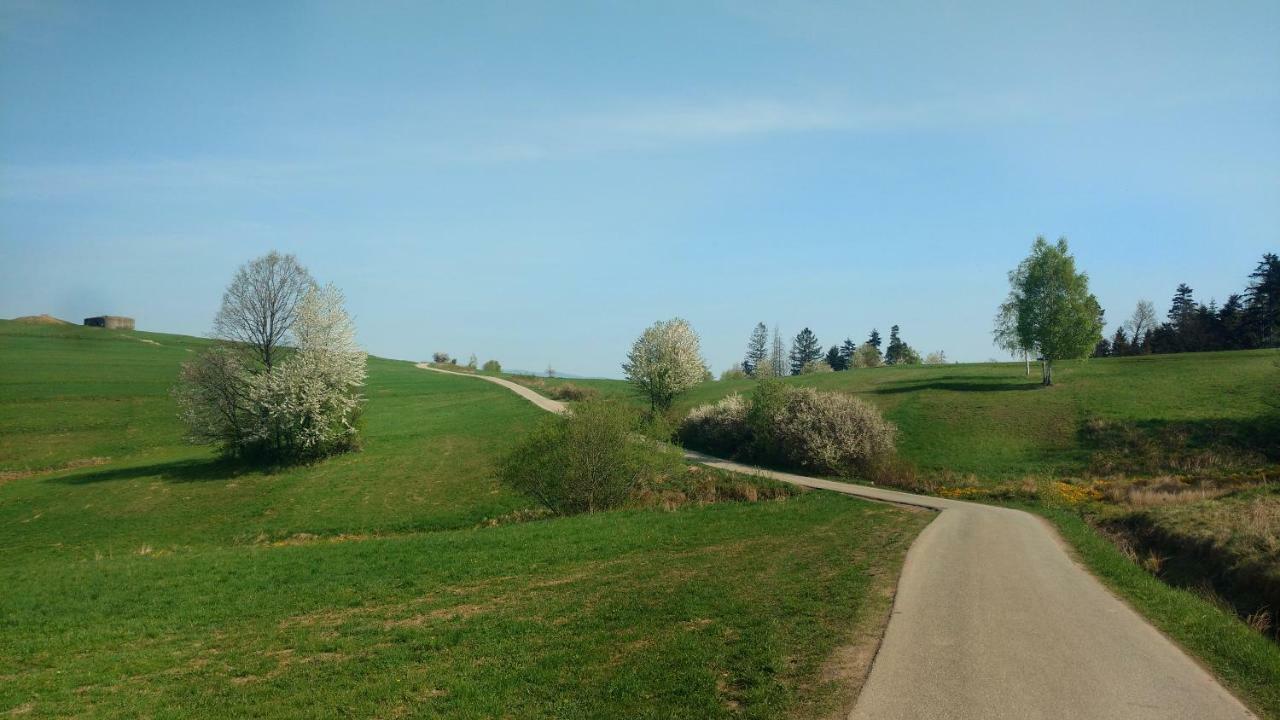 Noclegi Przy Szlaku Agroturystyka Zabnica Exterior photo