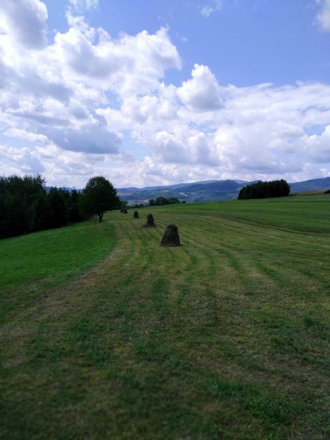 Noclegi Przy Szlaku Agroturystyka Zabnica Exterior photo