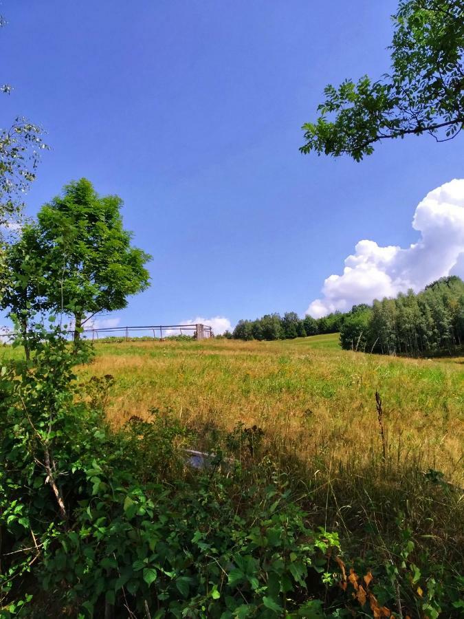Noclegi Przy Szlaku Agroturystyka Zabnica Exterior photo