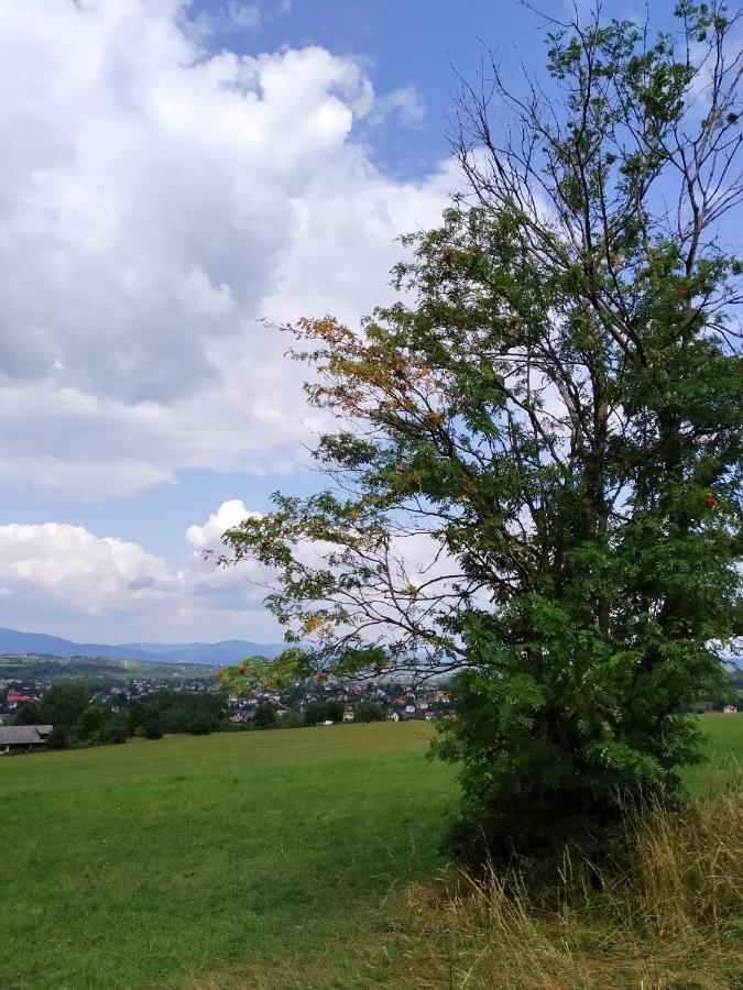 Noclegi Przy Szlaku Agroturystyka Zabnica Exterior photo
